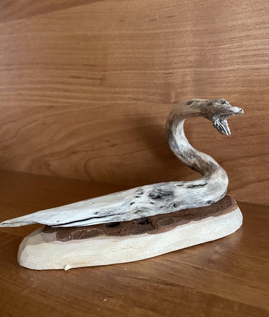 Корнепластика