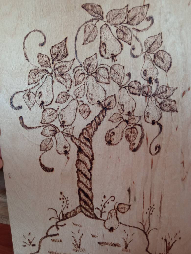 Дерево груши